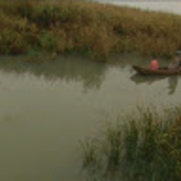 Meet your Posher, My - Picture 1 of 1